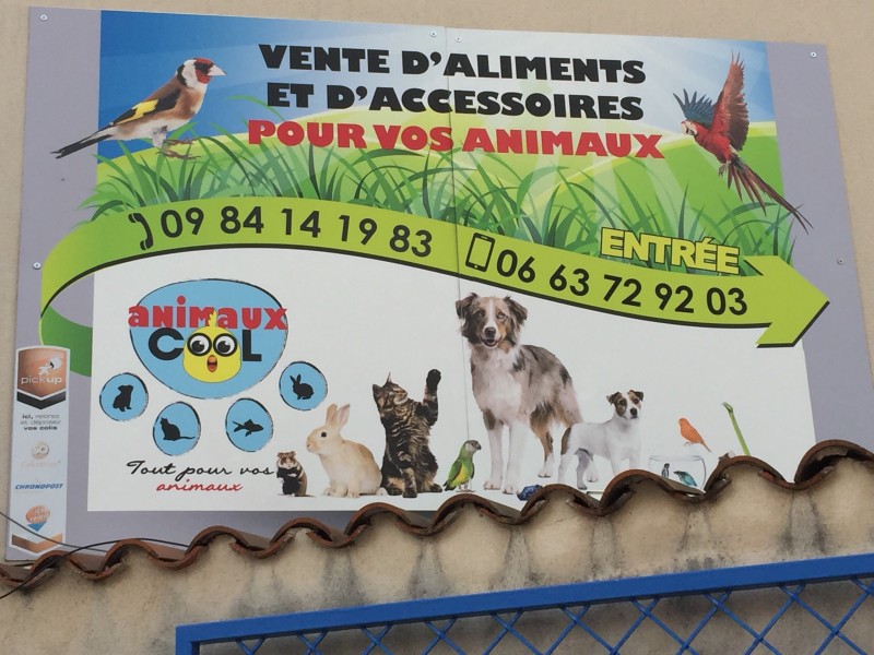 Vente d’aliments au détail ou en gros et d’accessoires pour animaux : chien, chat, oiseau, rongeur  Corbas  Animaux Cool